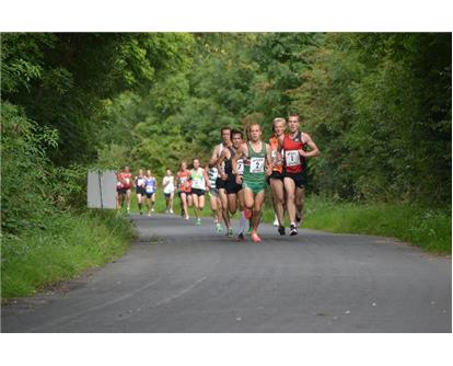 Wilne 10k